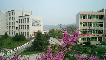 重慶永川職業(yè)教育中心 信息技術(shù)服務類專業(yè)設(shè)置詳解