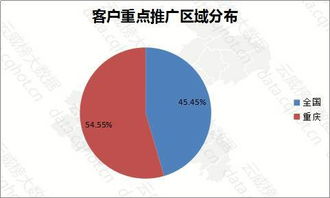 智匯山城，數(shù)領(lǐng)未來 重慶信息服務行業(yè)優(yōu)秀案例深度解析（第223期）