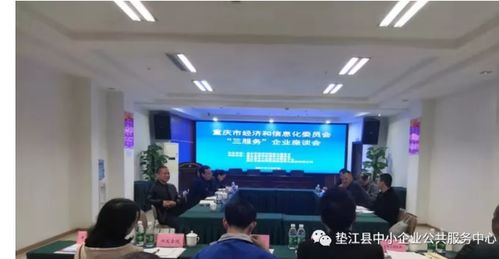 墊江召開企業座談會 重慶信息服務助力區縣發展，解讀市經信委“三服務”新舉措